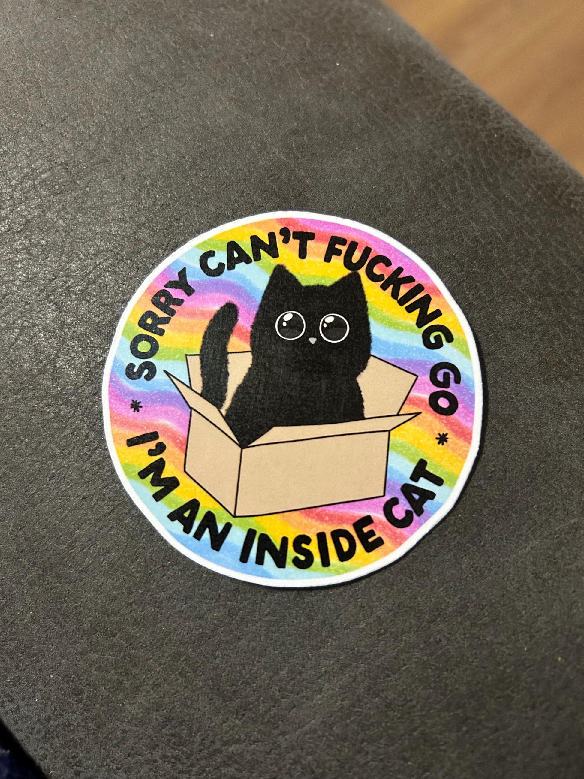 Sorry I can’t go I’m an inside cat sweary funny stay home motivational glossy sticker sticker for kindle, kindle decal decoration