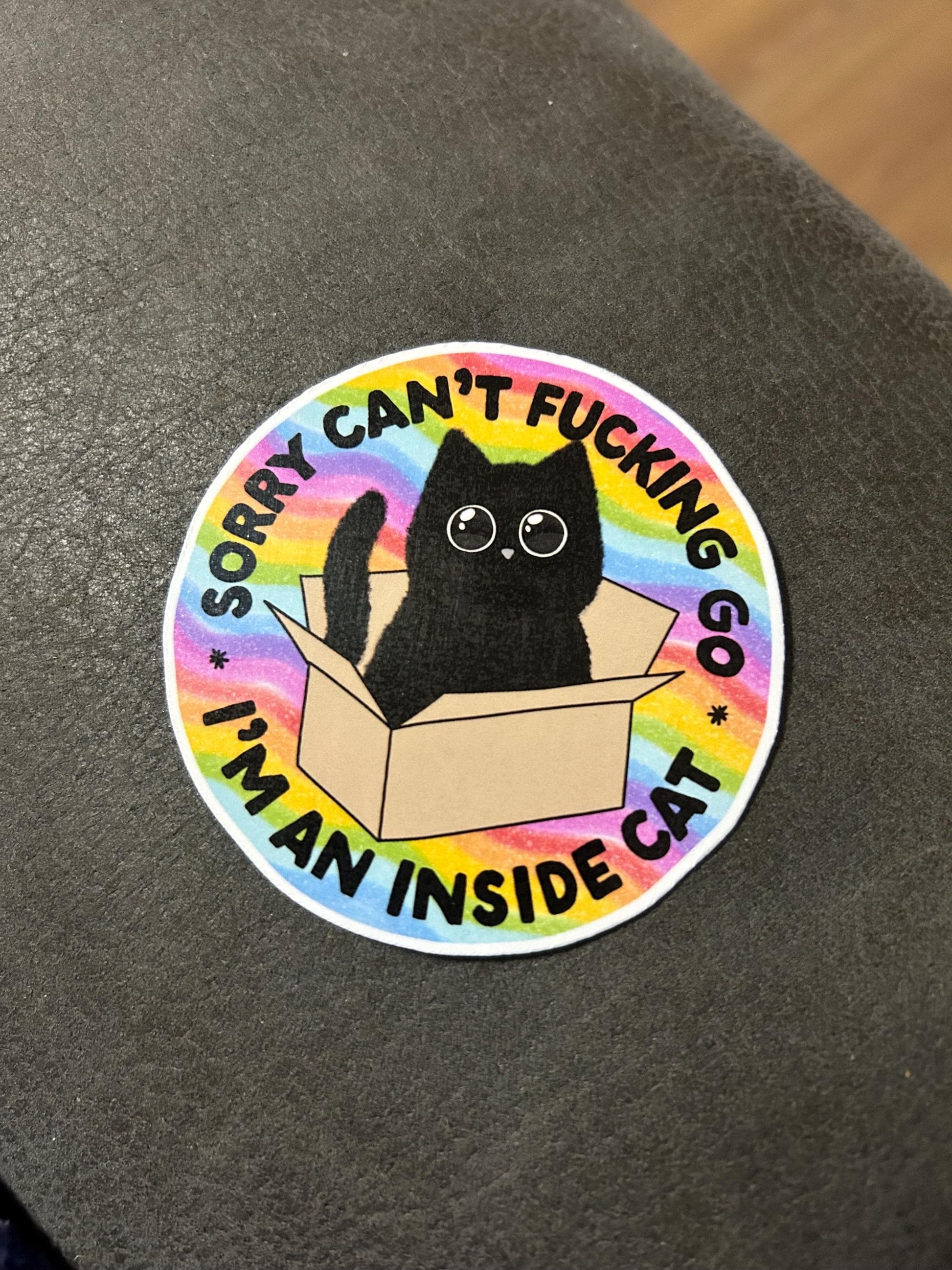 Sorry I can’t go I’m an inside cat sweary funny stay home motivational glossy sticker sticker for kindle, kindle decal decoration