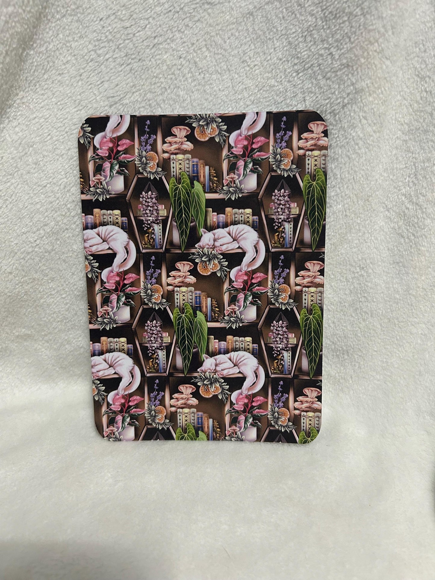 Cats on a bookshelf bookish kindle e reader insert for clear case, kindle accessory, kindle, paperwhite, oasis, scribe 10th 11th 12th gen